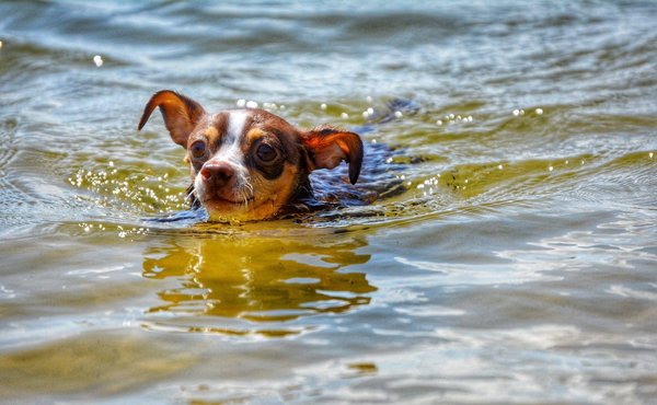 Comment débuter en escalade ?